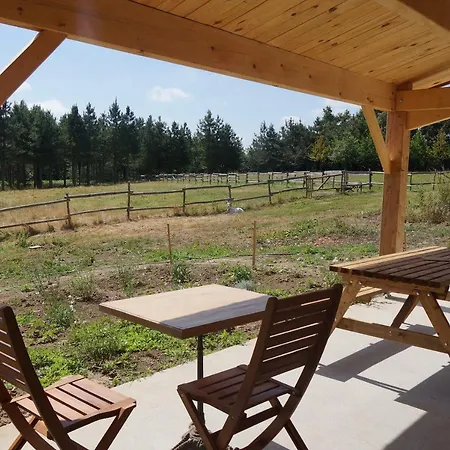 Le Domaine Du Vigneau Le Champ-Saint-Pere