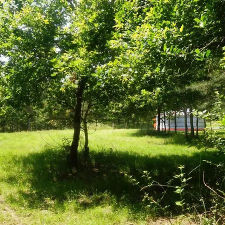 Le Domaine Du Vigneau Le Champ-Saint-Pere