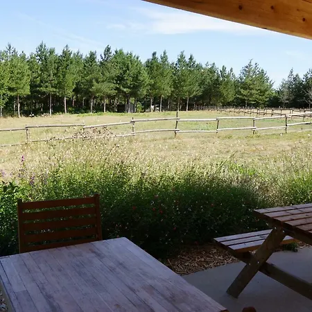 Campo de lujo Le Domaine Du Vigneau Le Champ-Saint-Pere