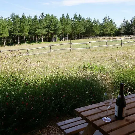 Campo de lujo Le Domaine Du Vigneau *