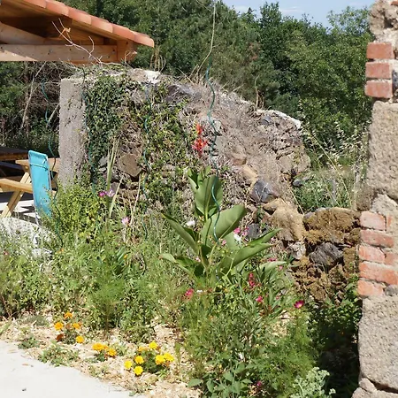 Le Domaine Du Vigneau * Le Champ-Saint-Pere