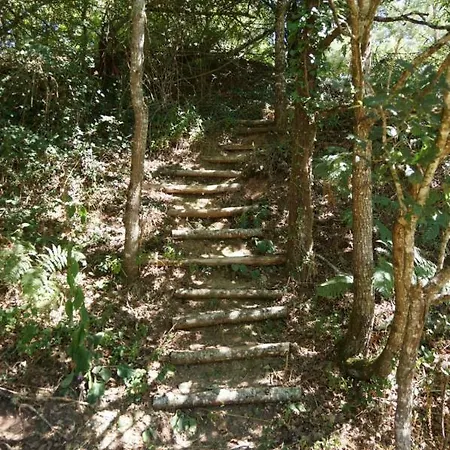 Campo de lujo Le Domaine Du Vigneau *