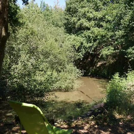 Campo de lujo Le Domaine Du Vigneau Le Champ-Saint-Pere