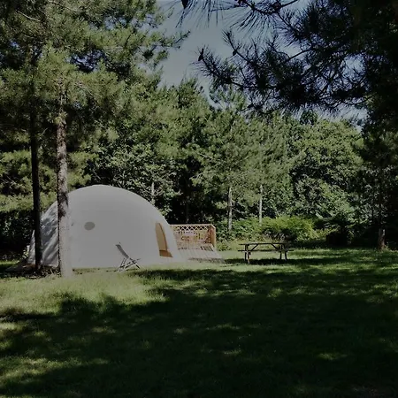 Le Domaine Du Vigneau Campo de lujo *