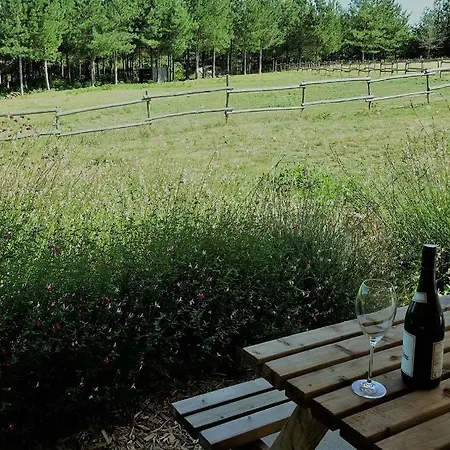 Le Domaine Du Vigneau Le Champ-Saint-Pere